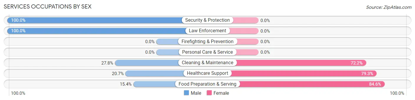 Services Occupations by Sex in Zip Code 03605