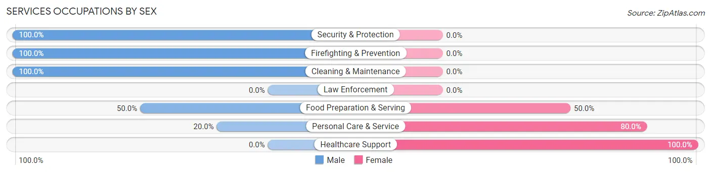 Services Occupations by Sex in Zip Code 03608