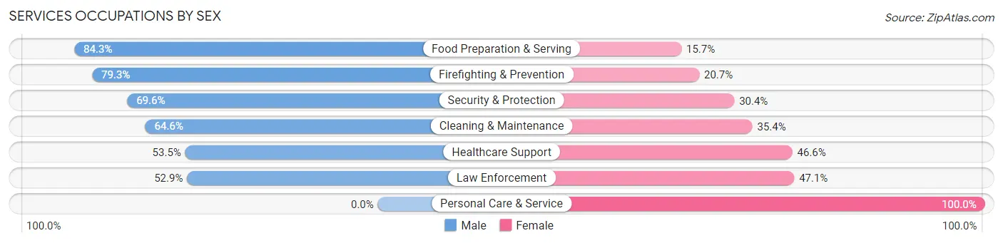 Services Occupations by Sex in Zip Code 03741
