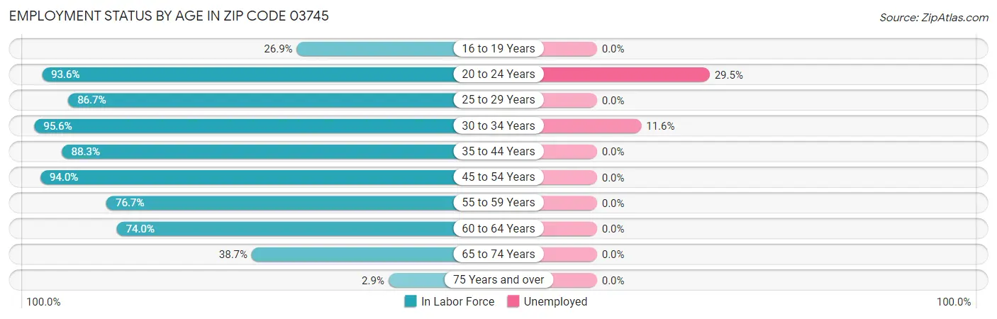 Employment Status by Age in Zip Code 03745