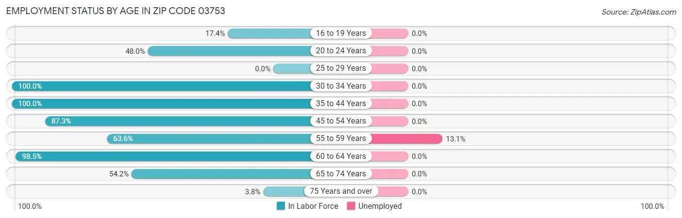 Employment Status by Age in Zip Code 03753
