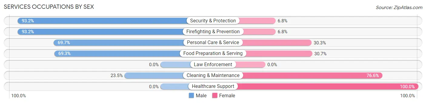Services Occupations by Sex in Zip Code 03766