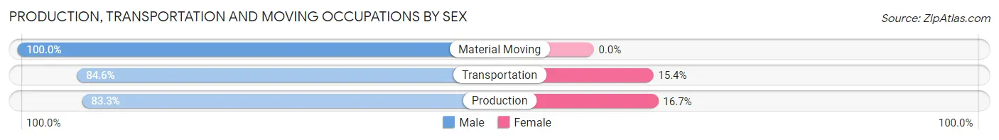 Production, Transportation and Moving Occupations by Sex in Zip Code 03768