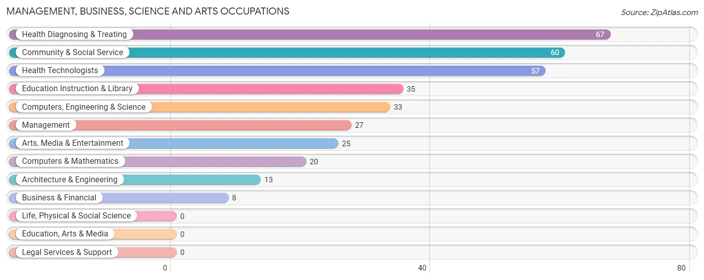 Management, Business, Science and Arts Occupations in Zip Code 03770