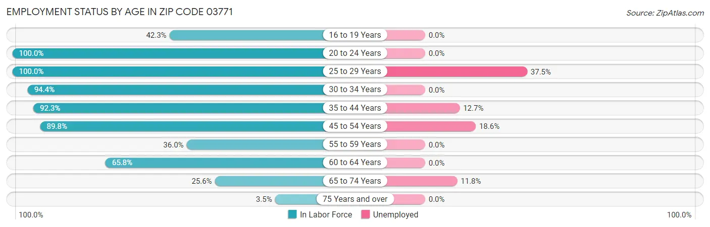 Employment Status by Age in Zip Code 03771