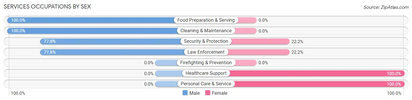 Services Occupations by Sex in Zip Code 03771