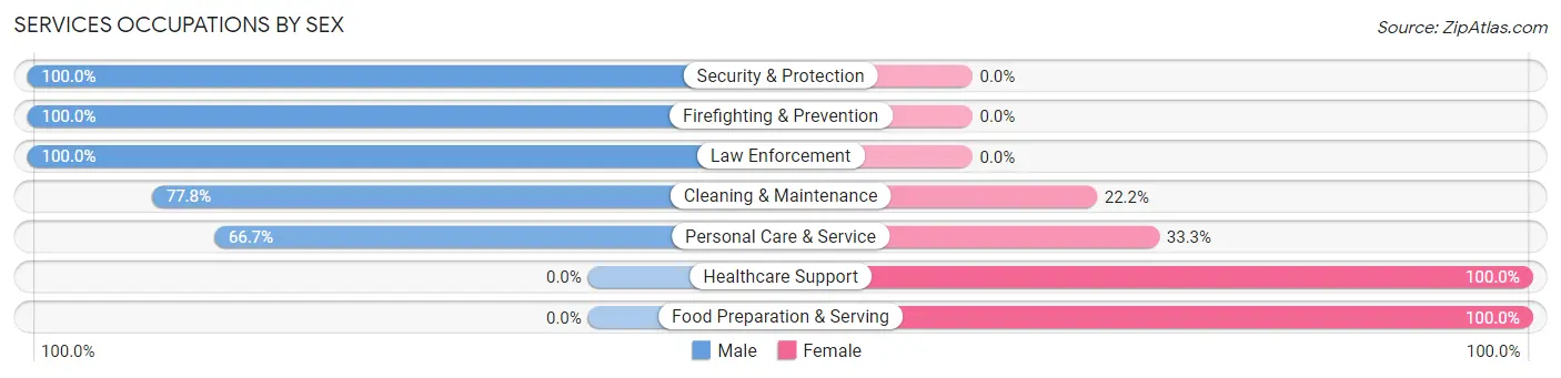 Services Occupations by Sex in Zip Code 03779