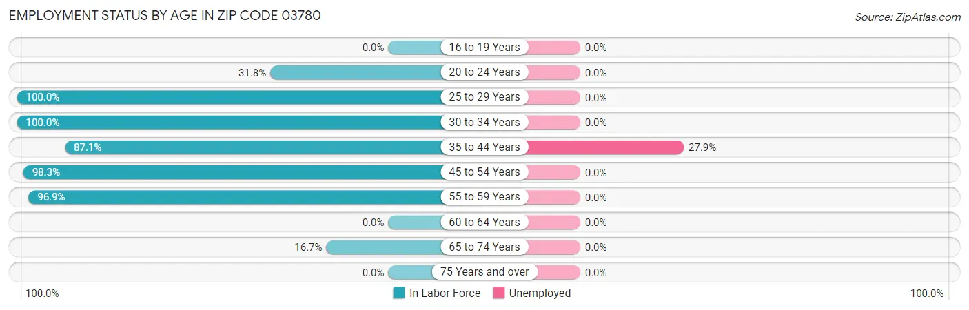 Employment Status by Age in Zip Code 03780