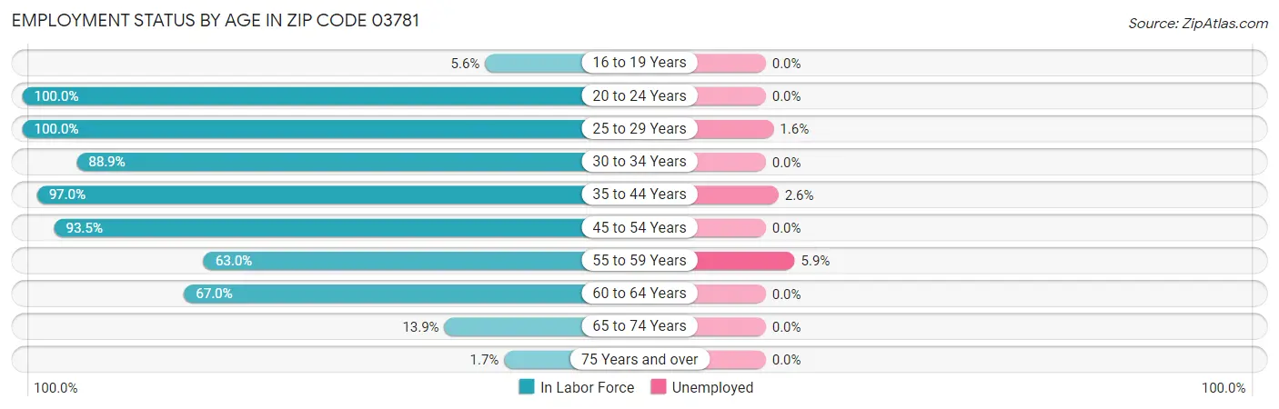 Employment Status by Age in Zip Code 03781