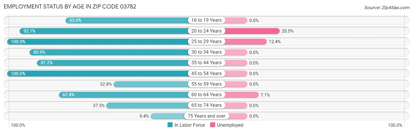 Employment Status by Age in Zip Code 03782