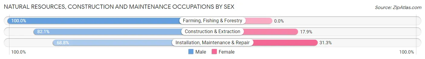 Natural Resources, Construction and Maintenance Occupations by Sex in Zip Code 03782