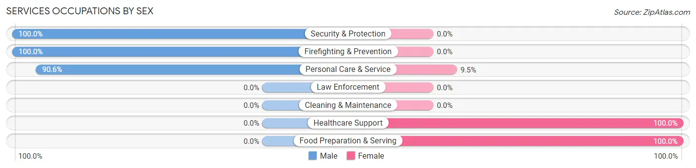 Services Occupations by Sex in Zip Code 03784