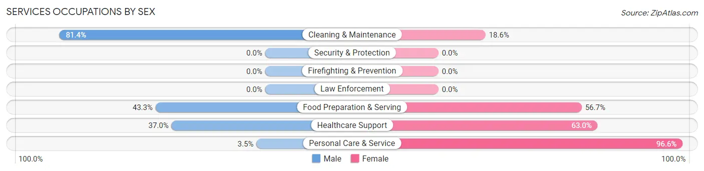 Services Occupations by Sex in Zip Code 03785