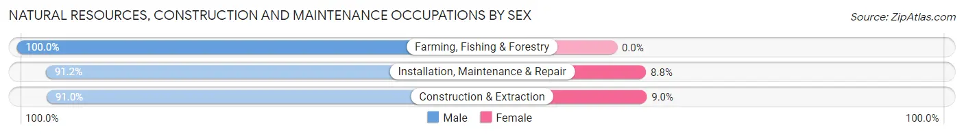 Natural Resources, Construction and Maintenance Occupations by Sex in Zip Code 03801