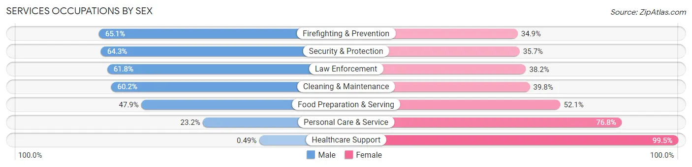 Services Occupations by Sex in Zip Code 03801