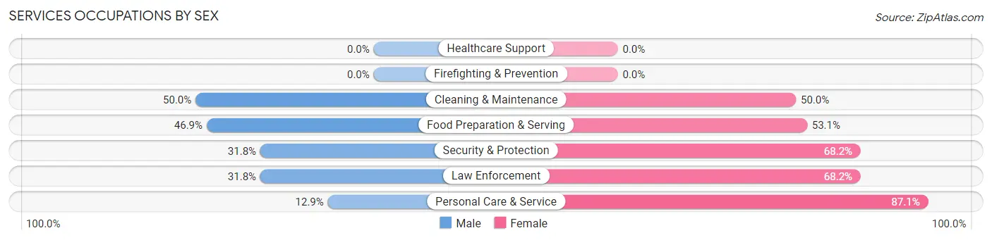 Services Occupations by Sex in Zip Code 03810