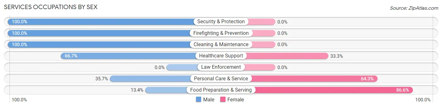 Services Occupations by Sex in Zip Code 03811