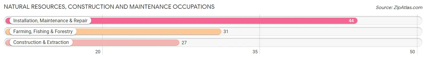 Natural Resources, Construction and Maintenance Occupations in Zip Code 03812