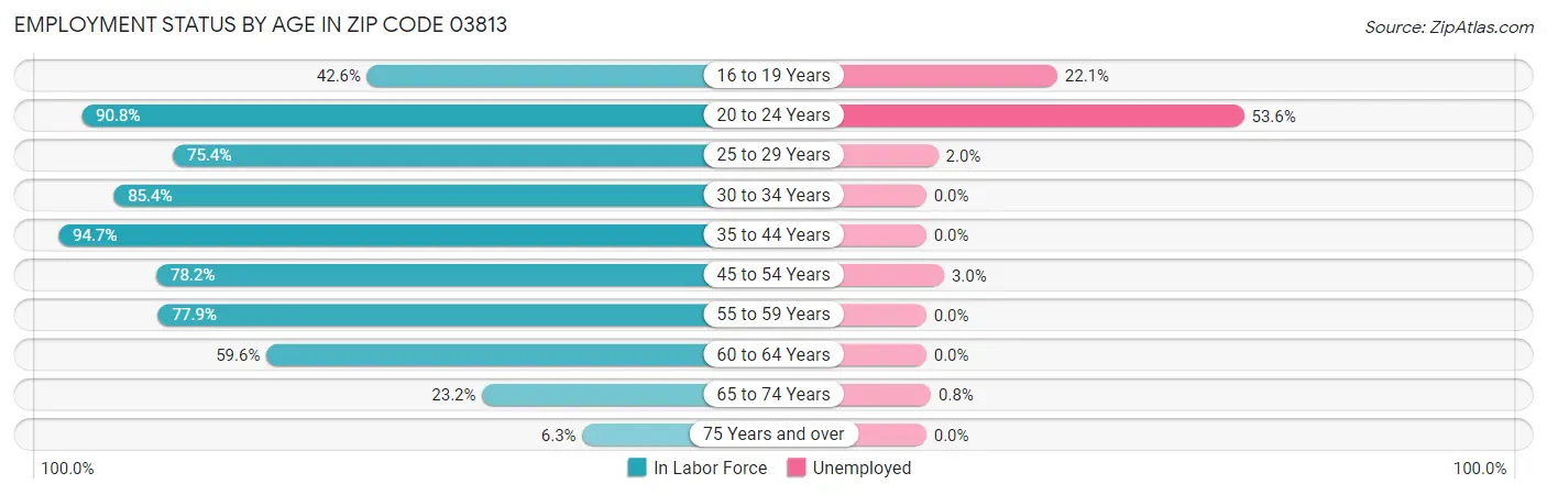 Employment Status by Age in Zip Code 03813