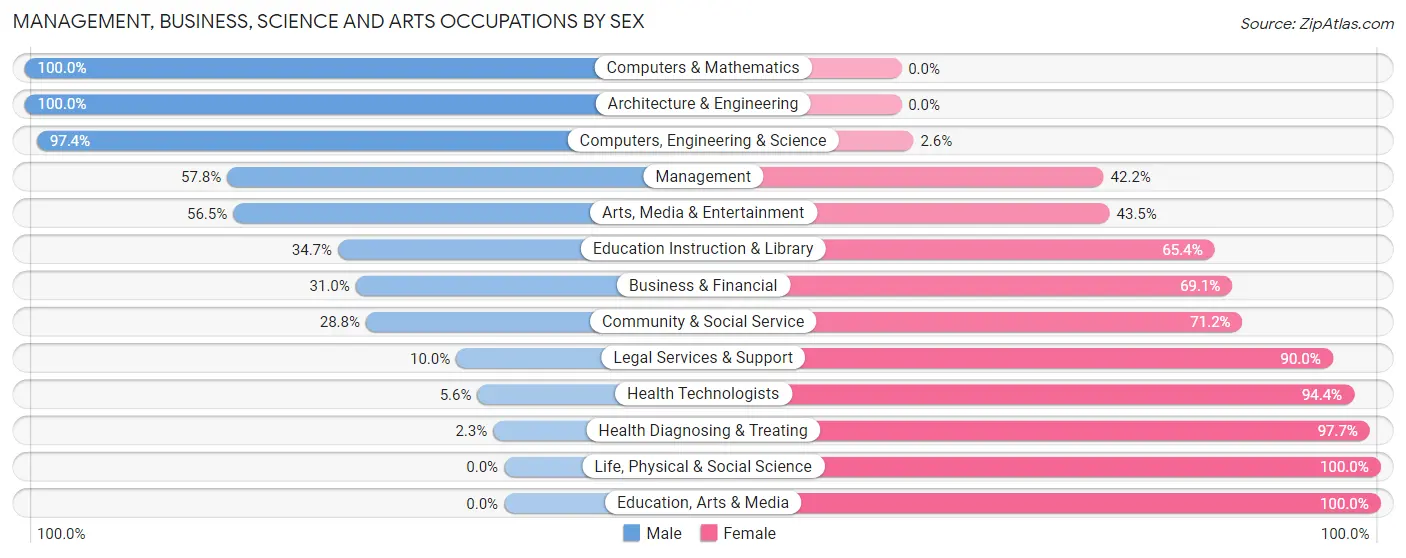 Management, Business, Science and Arts Occupations by Sex in Zip Code 03813