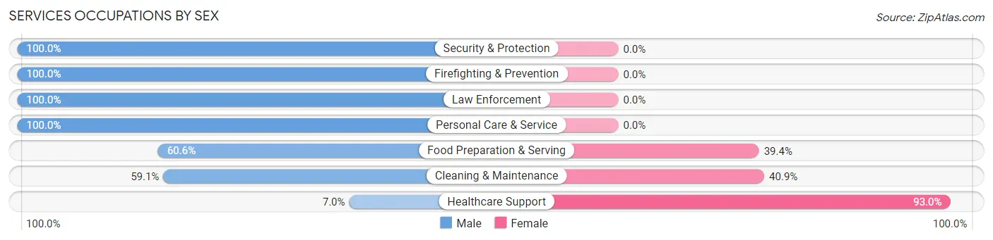 Services Occupations by Sex in Zip Code 03813