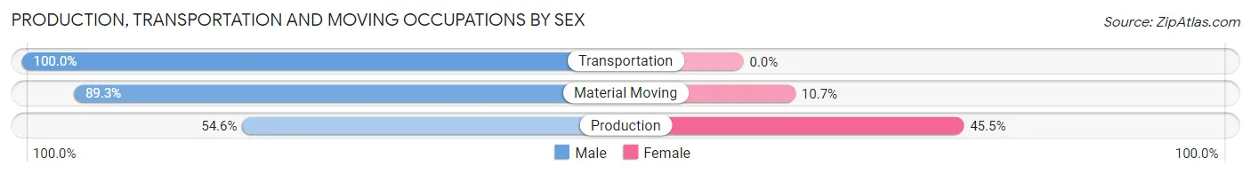 Production, Transportation and Moving Occupations by Sex in Zip Code 03816