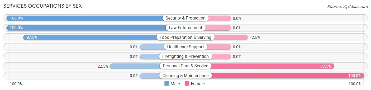 Services Occupations by Sex in Zip Code 03816