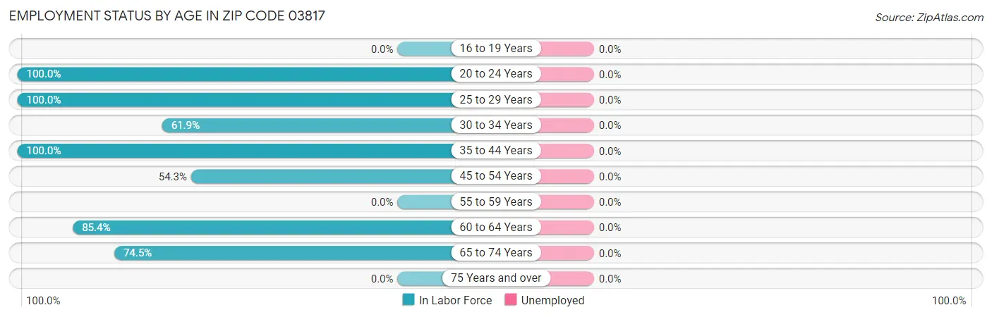 Employment Status by Age in Zip Code 03817