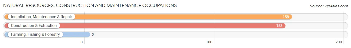 Natural Resources, Construction and Maintenance Occupations in Zip Code 03818