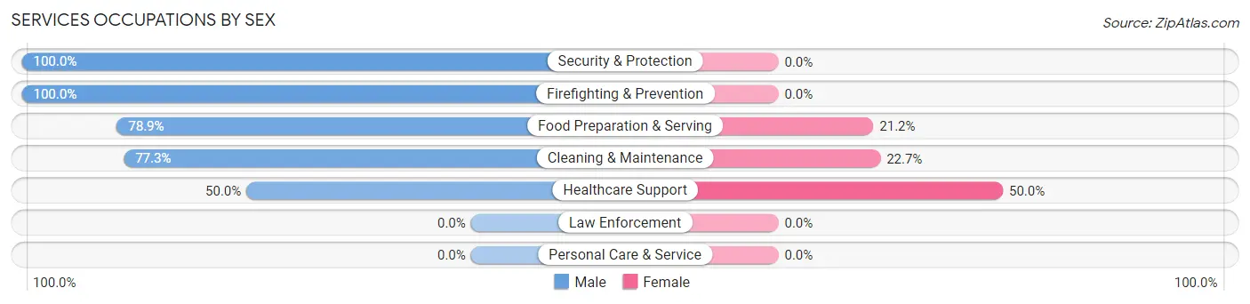 Services Occupations by Sex in Zip Code 03818