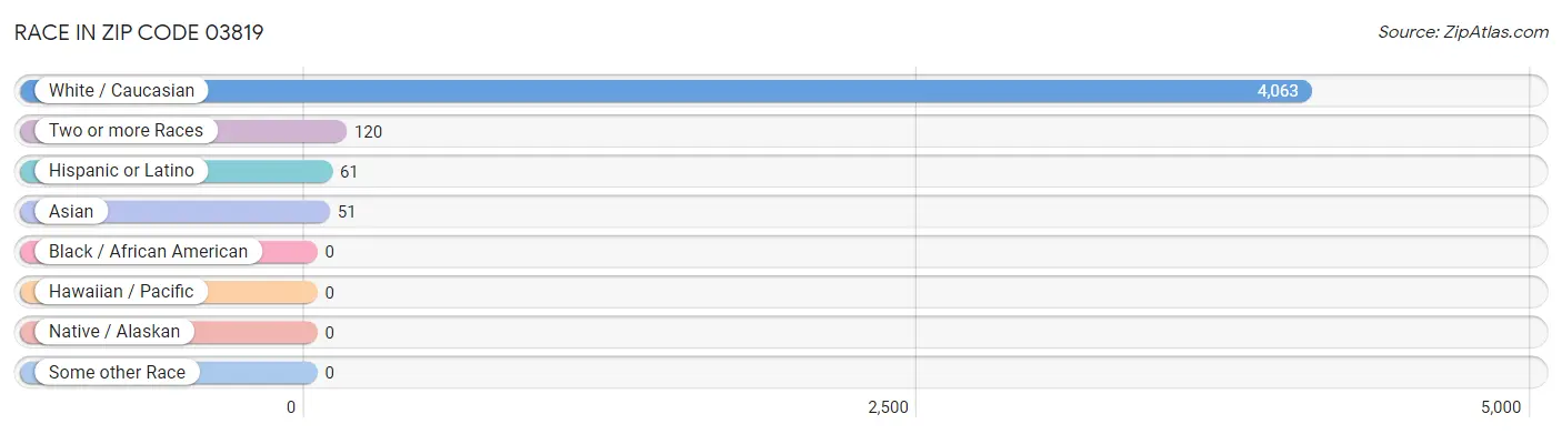 Race in Zip Code 03819
