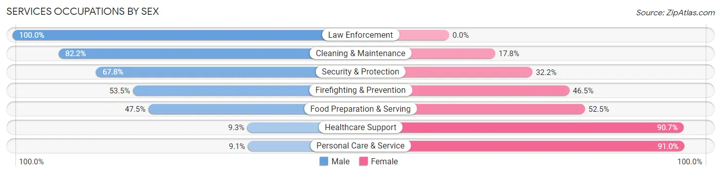 Services Occupations by Sex in Zip Code 03820