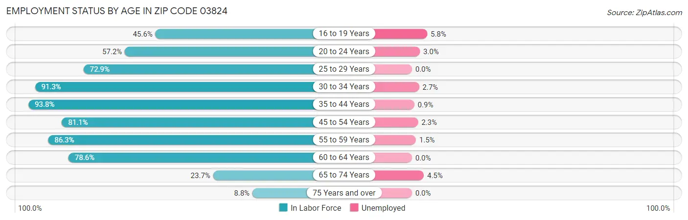 Employment Status by Age in Zip Code 03824