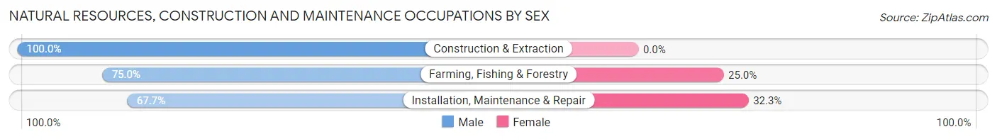 Natural Resources, Construction and Maintenance Occupations by Sex in Zip Code 03824