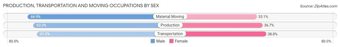 Production, Transportation and Moving Occupations by Sex in Zip Code 03824