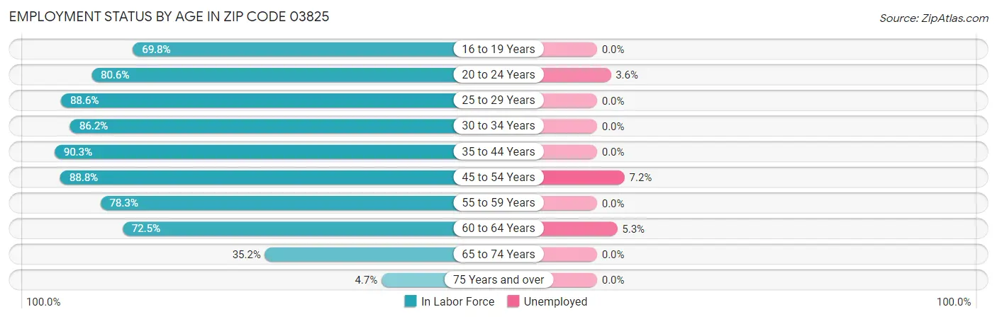 Employment Status by Age in Zip Code 03825