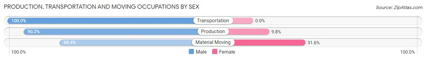 Production, Transportation and Moving Occupations by Sex in Zip Code 03825