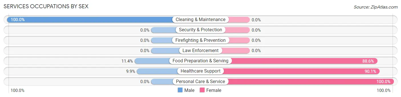 Services Occupations by Sex in Zip Code 03826