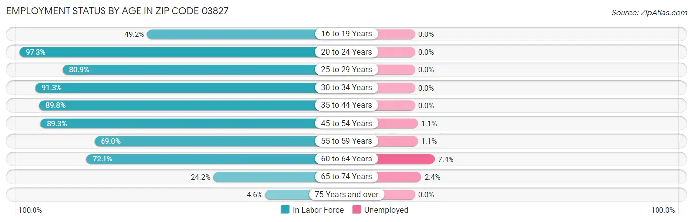 Employment Status by Age in Zip Code 03827