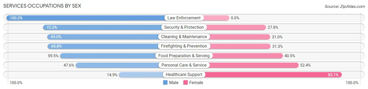 Services Occupations by Sex in Zip Code 03827