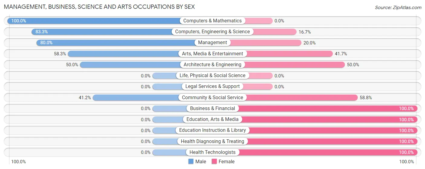 Management, Business, Science and Arts Occupations by Sex in Zip Code 03832