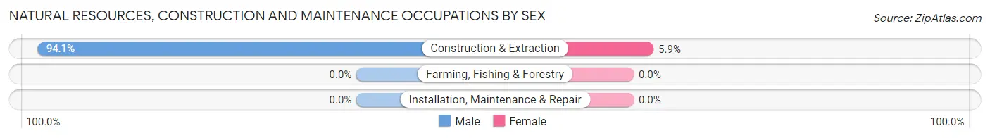 Natural Resources, Construction and Maintenance Occupations by Sex in Zip Code 03832