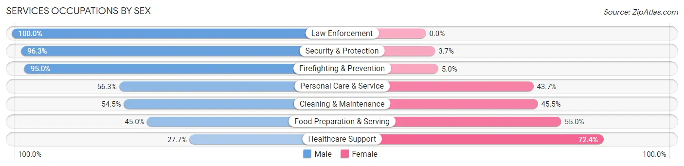 Services Occupations by Sex in Zip Code 03833