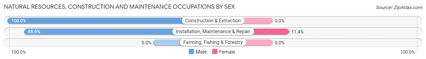 Natural Resources, Construction and Maintenance Occupations by Sex in Zip Code 03835