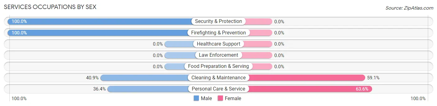 Services Occupations by Sex in Zip Code 03836