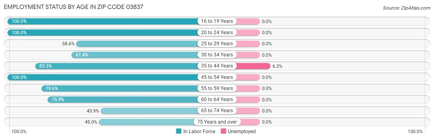 Employment Status by Age in Zip Code 03837