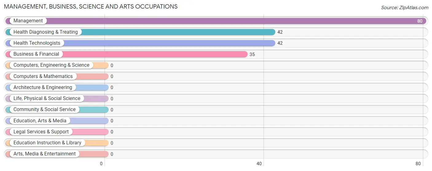 Management, Business, Science and Arts Occupations in Zip Code 03838