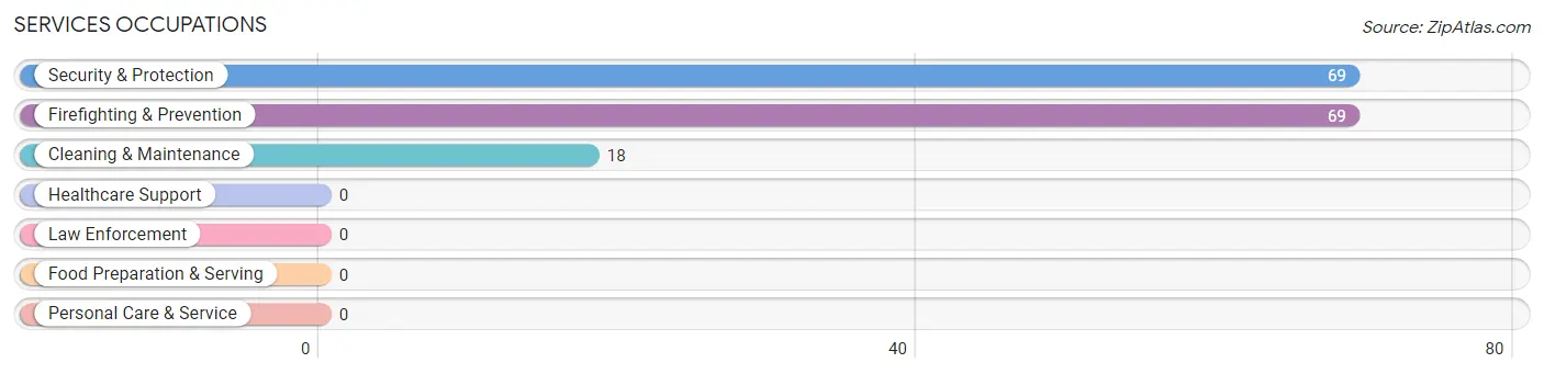 Services Occupations in Zip Code 03838