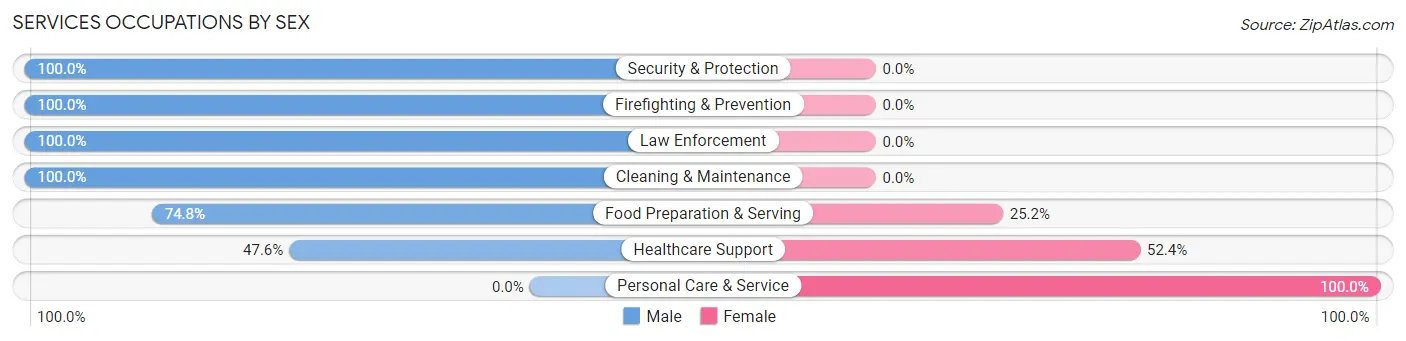 Services Occupations by Sex in Zip Code 03840