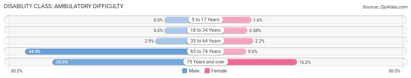 Disability in Zip Code 03841: <span>Ambulatory Difficulty</span>